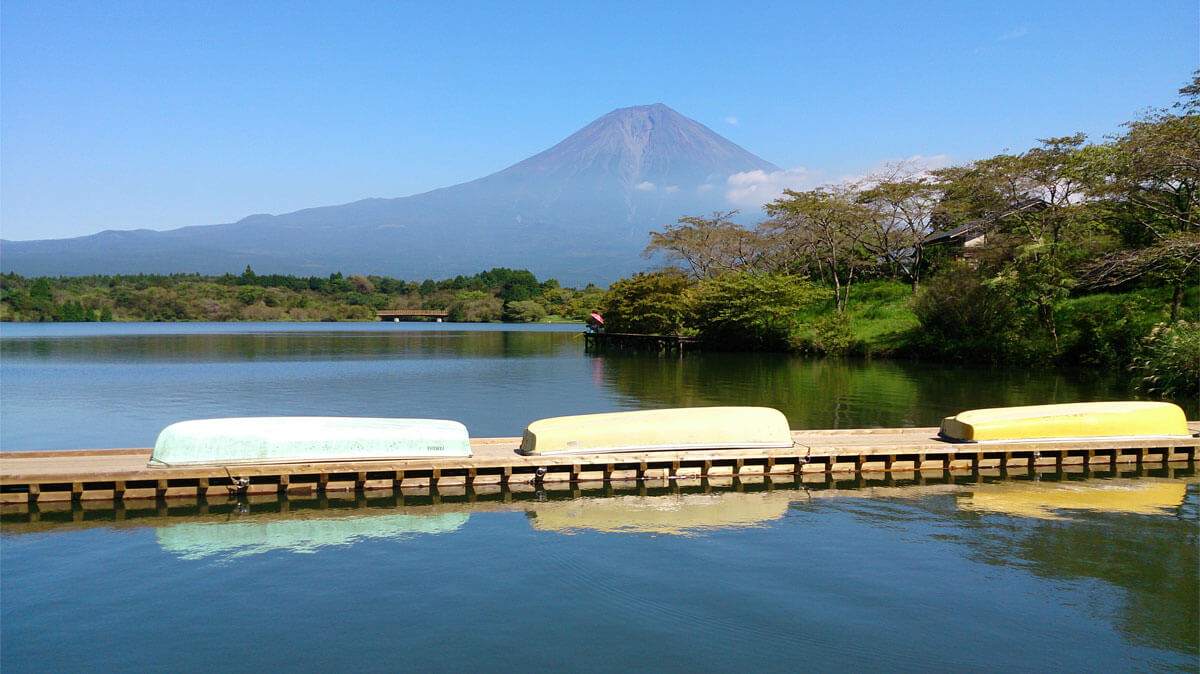 Lake Tanuki